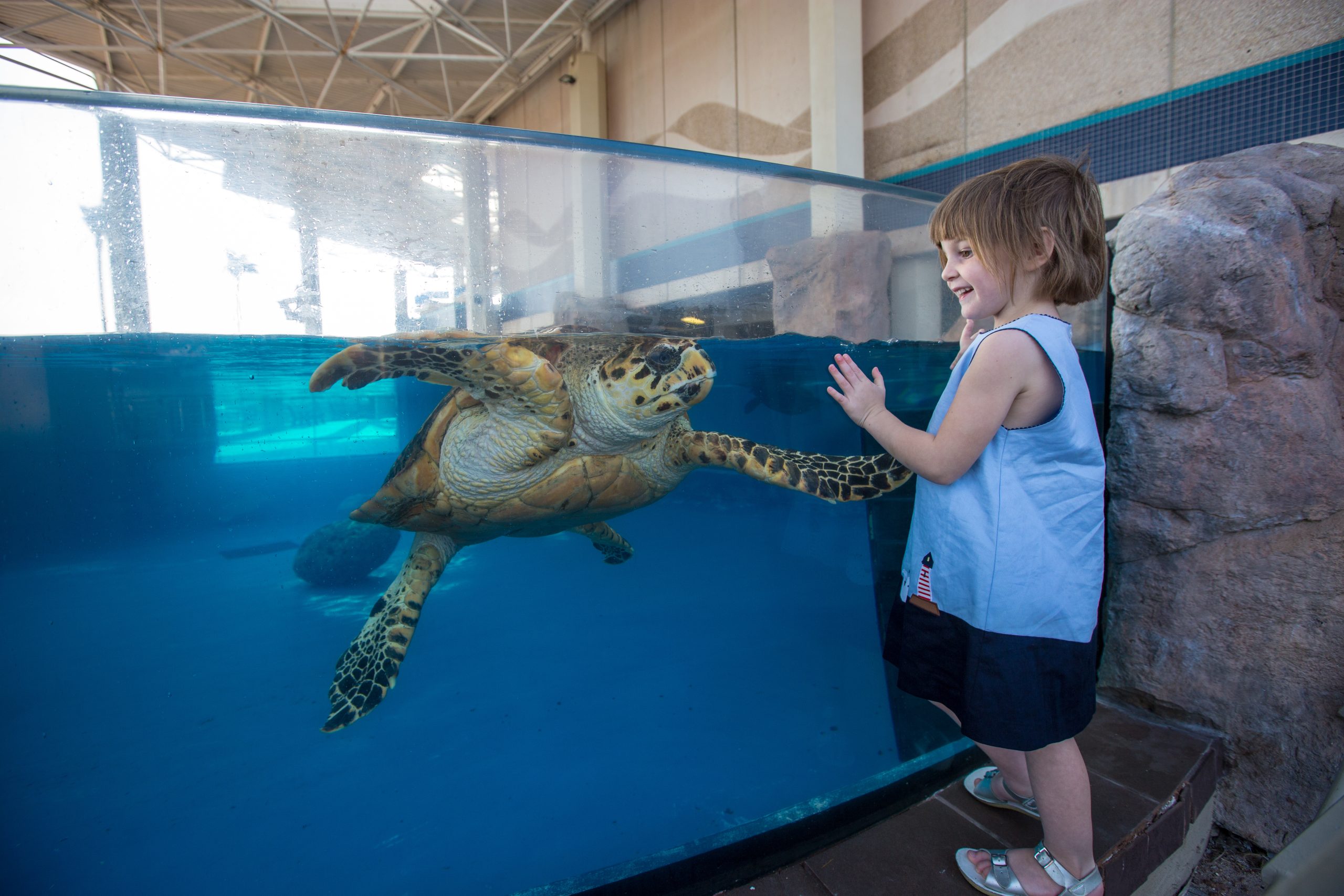 JPAGETSACVBPicks317 Texas State Aquarium