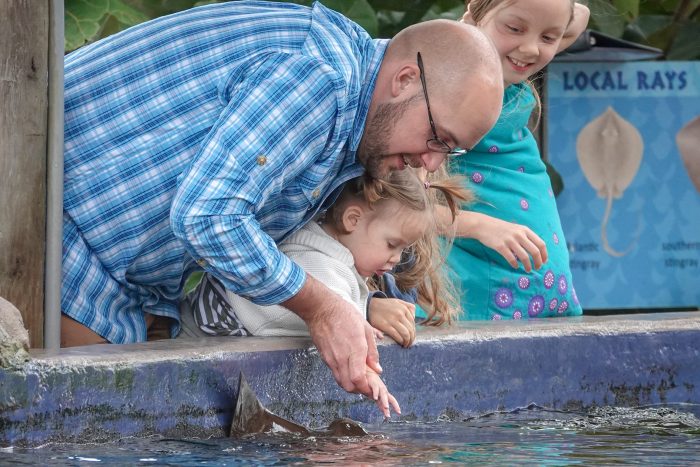 Guests touch stingrays at "Stingray Lagoon"
