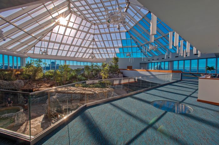 Caribbean Jungle overlook