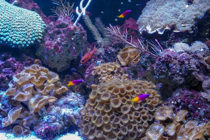 Exhibit in Gulf of Mexico