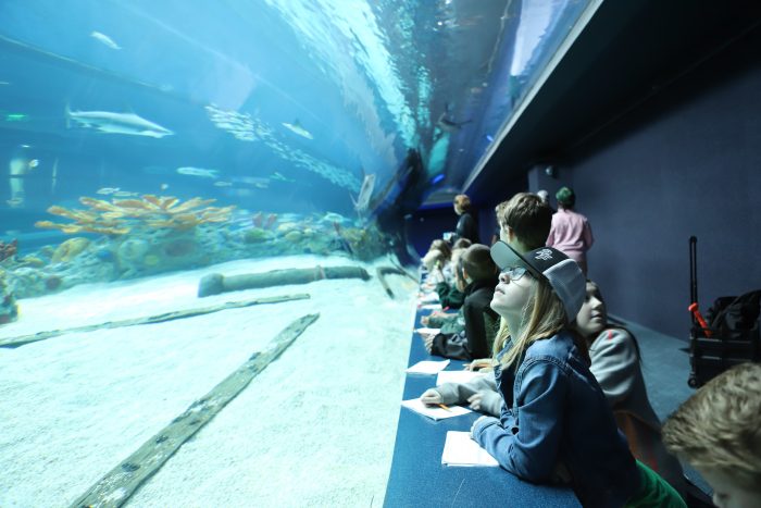 Children on field trip study the H-E-B Caribbean Sea