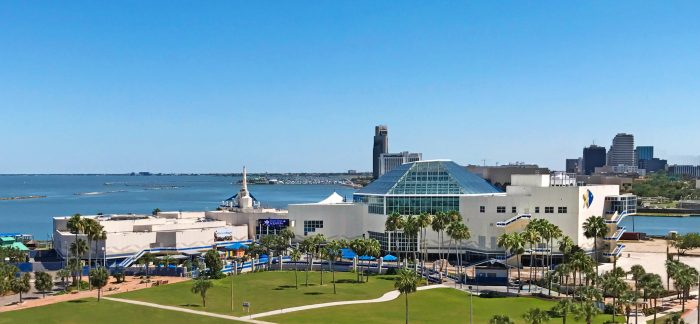 View of the Texas State Aquarium