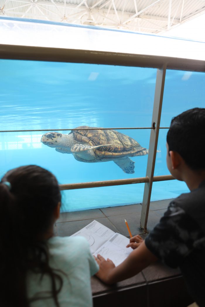 Students on a field trip at Tortuga Cay