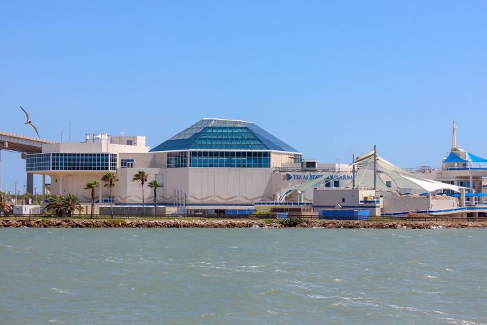 Exterior of Texas State Aquarium