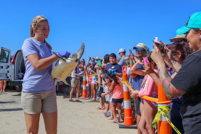 Rescued sea turtle shown to guests before its release back into its natural habitat