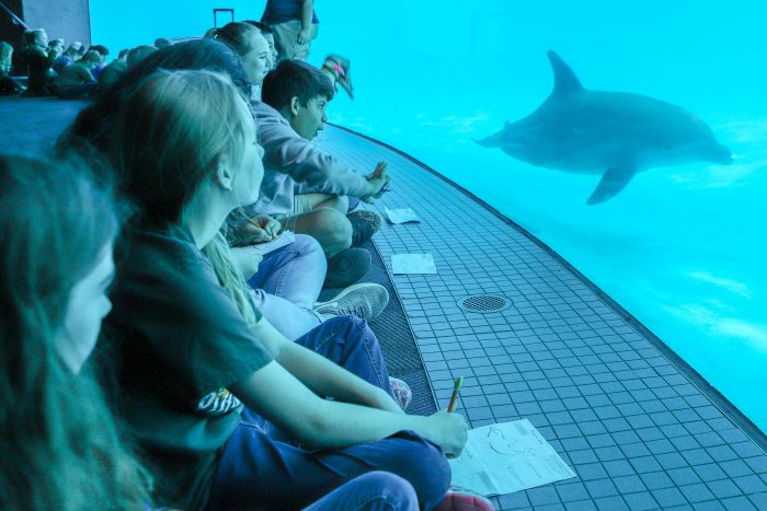 Students on Aquarium Field Trip