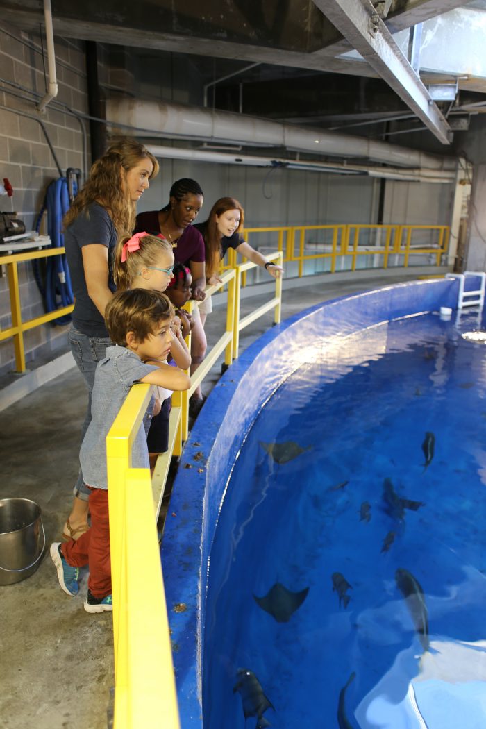 "Feed the Fish" Exclusive Encounter