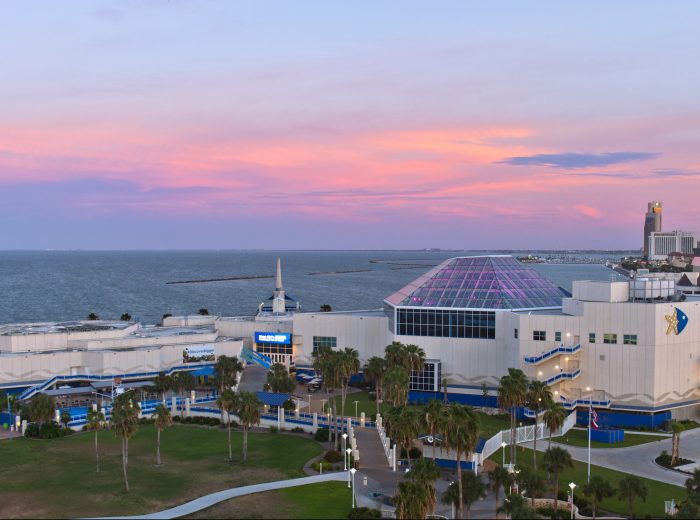 Exterior shot of Texas State Aquarium