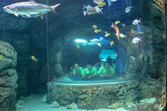 Blue Hole exhibit in Caribbean Journey