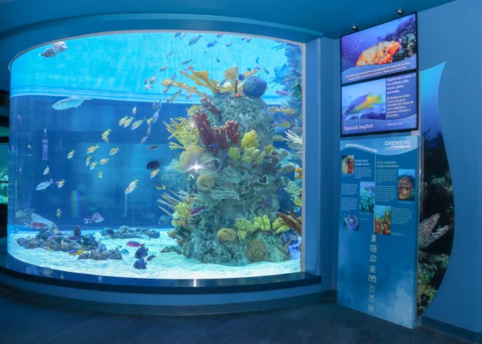 Coral Reef exhibit
