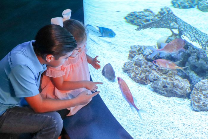Guests experience the Coral Reef