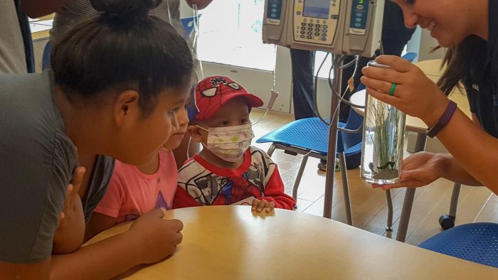 Aquarium outreach event at children's hospital