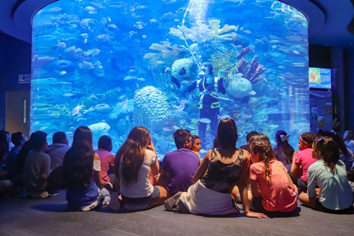 Students watch dive presentation during field trip
