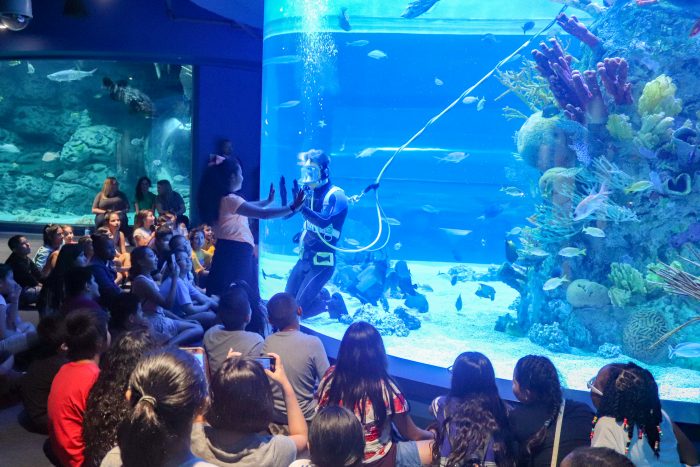 Students watch dive presentation during field trip