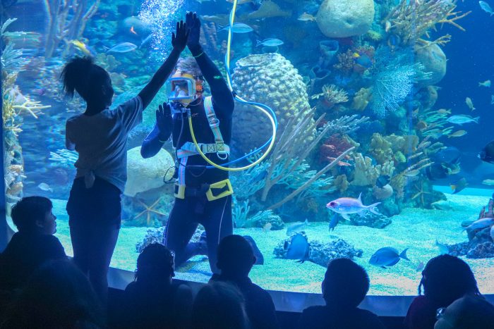Students watch dive presentation during field trip