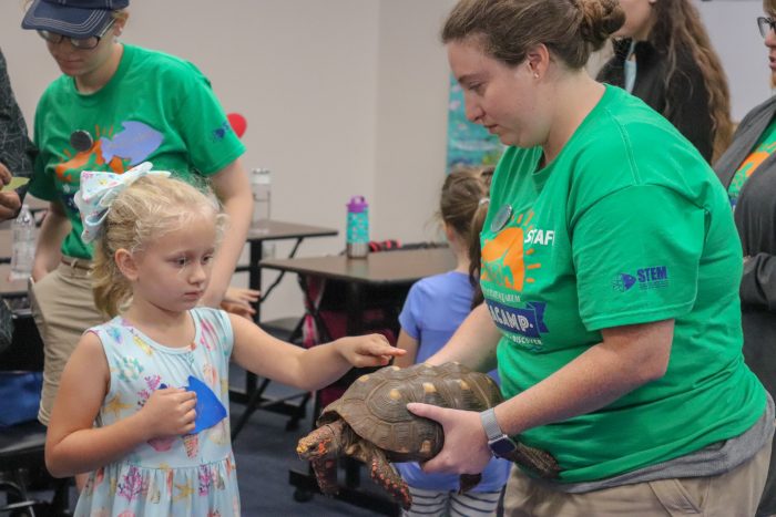 SeaCampers have hands-on interaction with tortoise