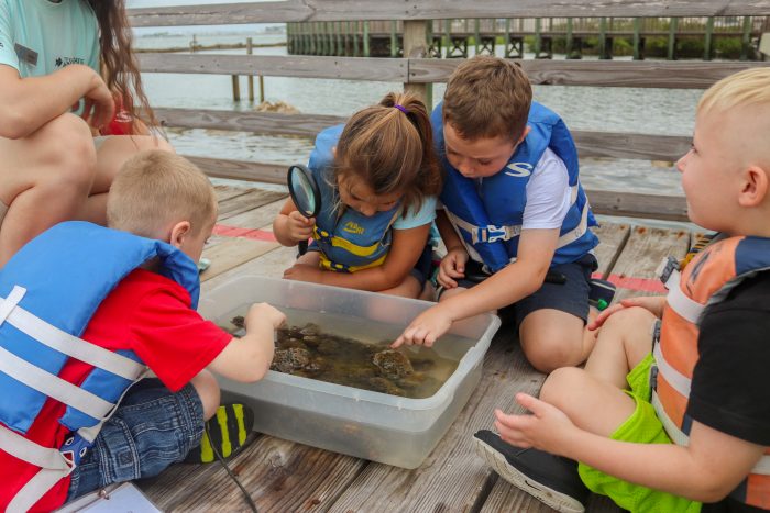 SeaCampers observe sea life from the Gulf of Mexico