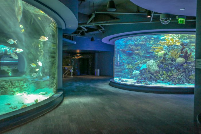 Blue Hole and Coral Reef underwater views