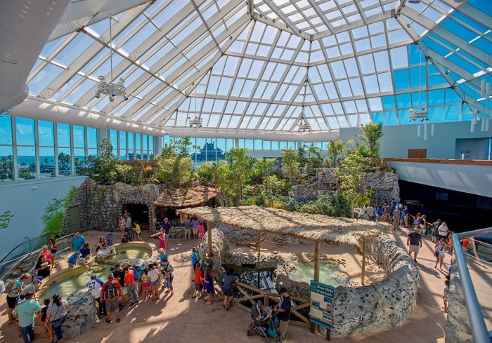 Caribbean jungle overlook
