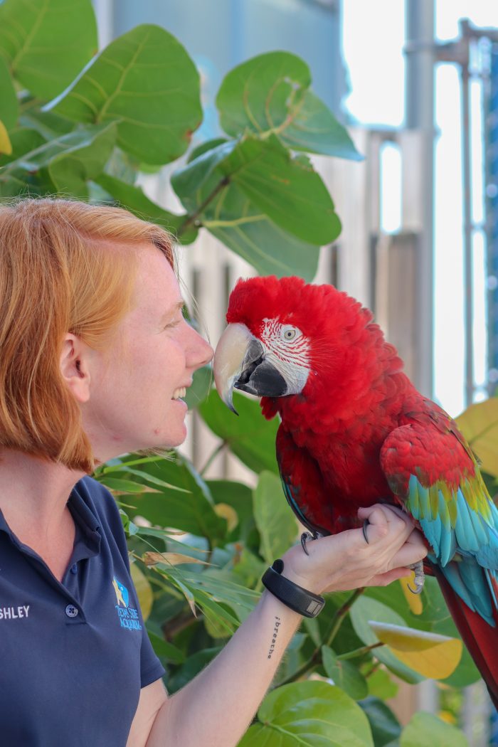 Animal Care staff with Zeppo the macaw