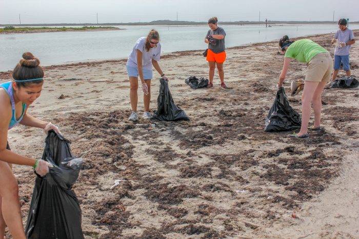 Beach Cleanup