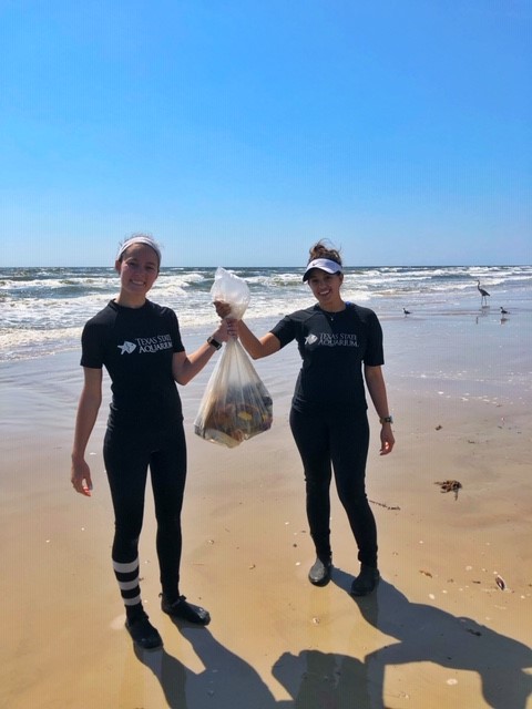 Beach Cleanup