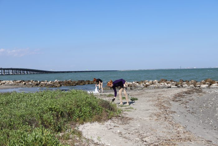 Beach Cleanup