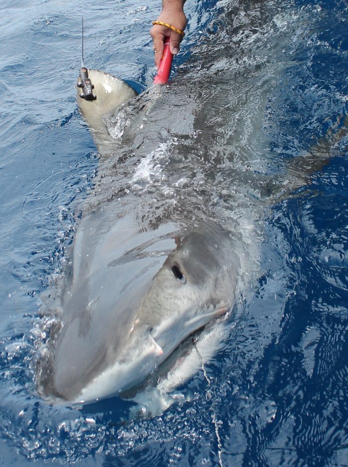 Scientific research supported by the Wildlife Care, Conservation, and Research Fund (WCCR)