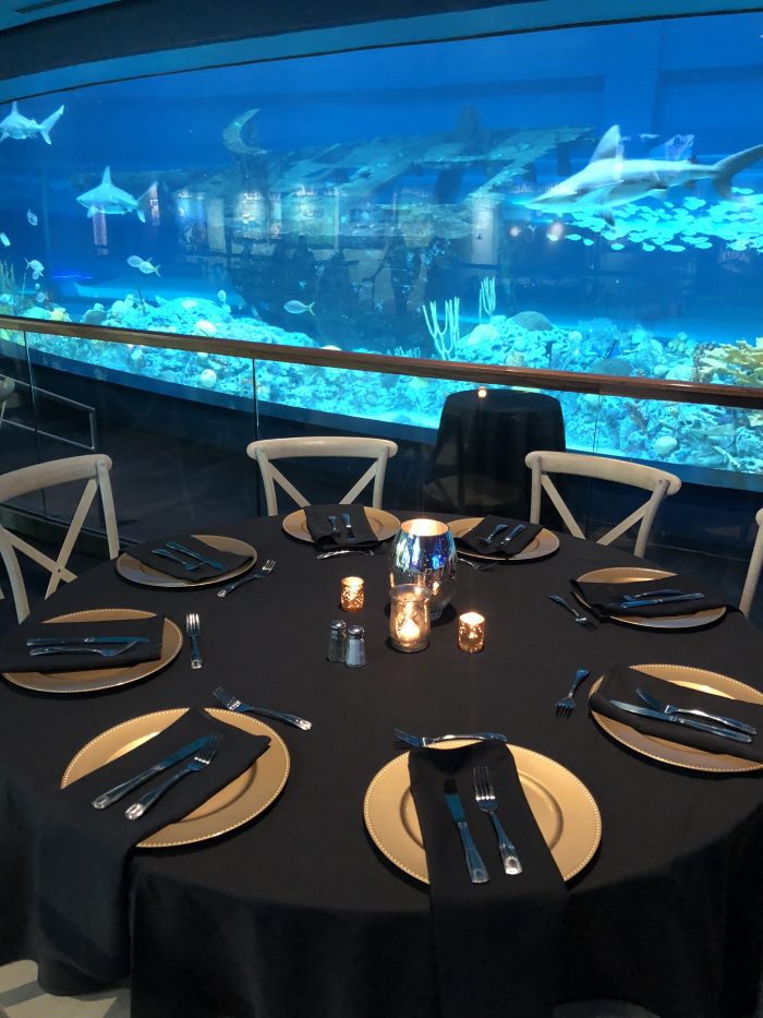 Event in H-E-B Caribbean Sea