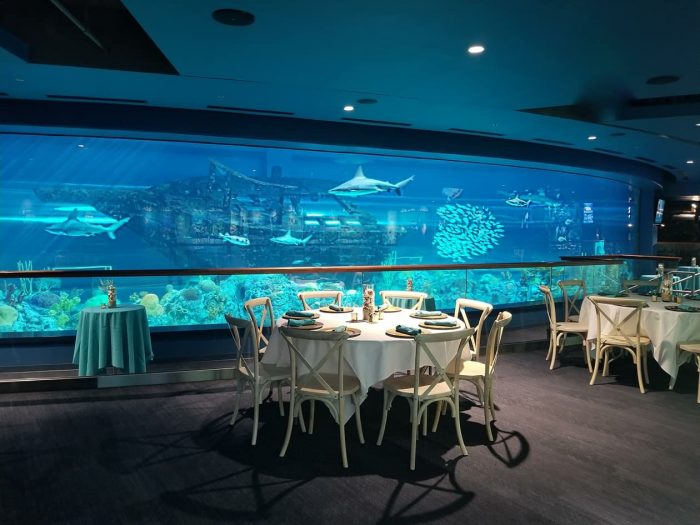 Event in H-E-B Caribbean Sea