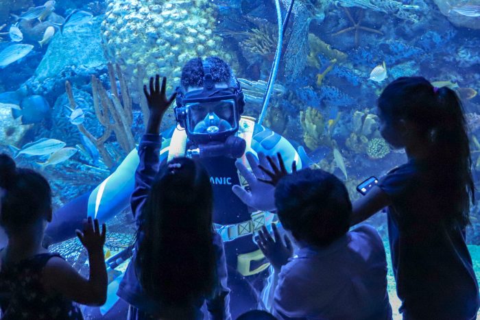 Guests interact with divers in Cheniere Mesoamerican Barrier Reef exhibit
