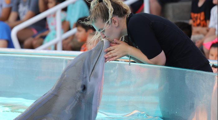 Trainers interact with dolphins during DOLPHINS! presentation