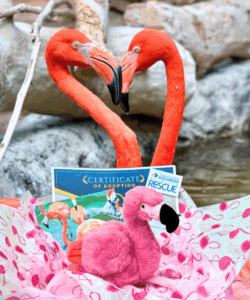 Flamingo plush with flamingos in background